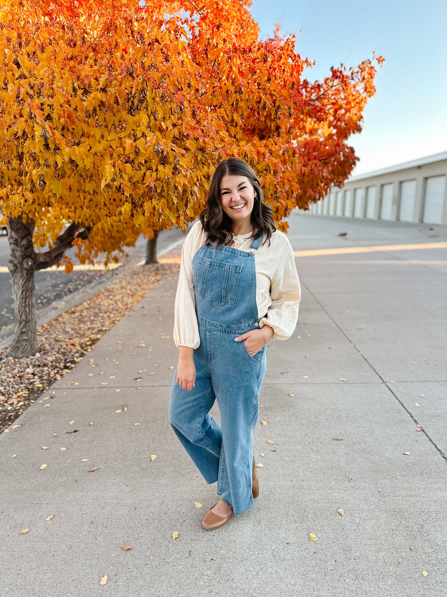Abigail Denim Overalls