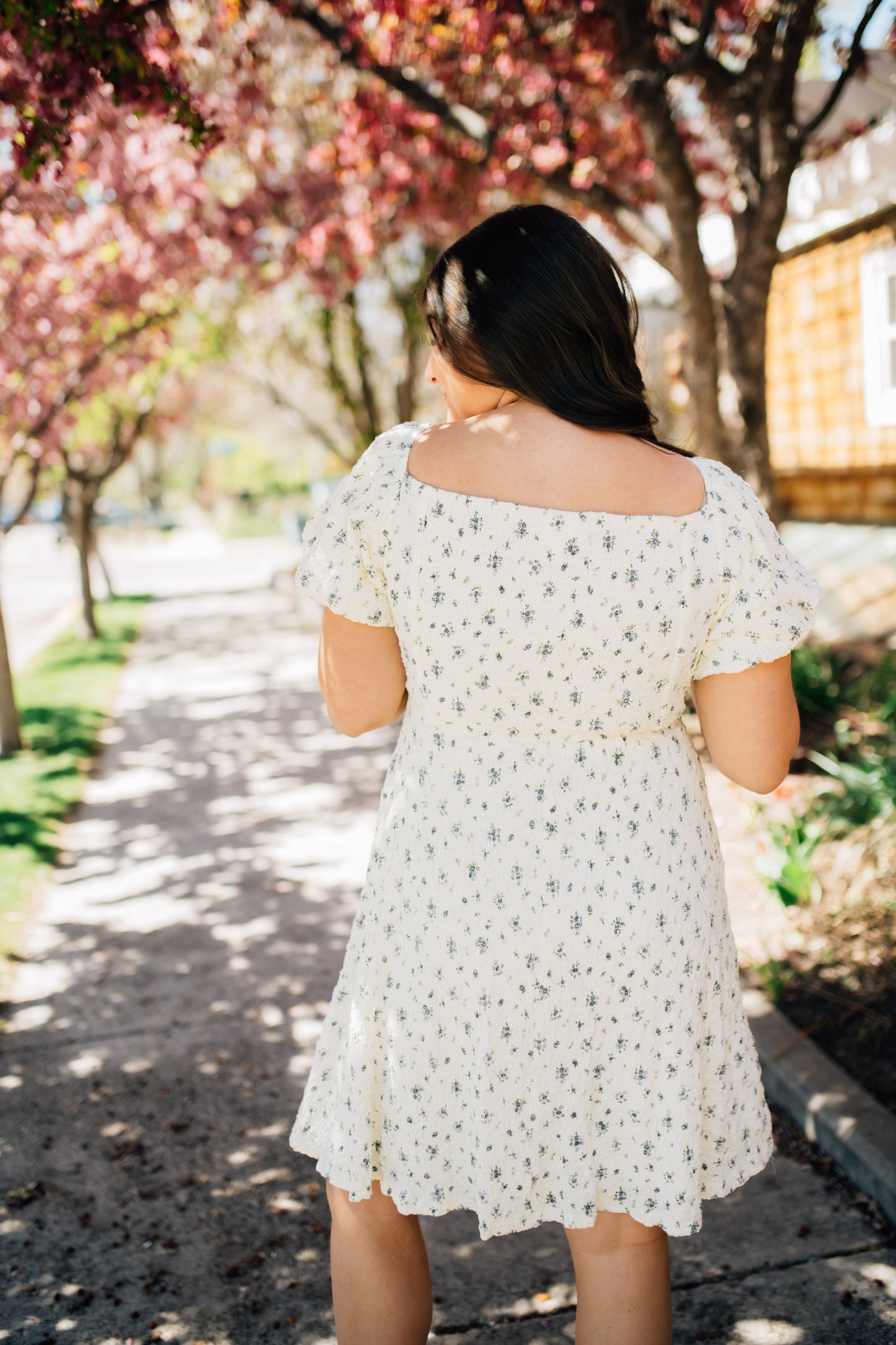 Anthology Floral Dress