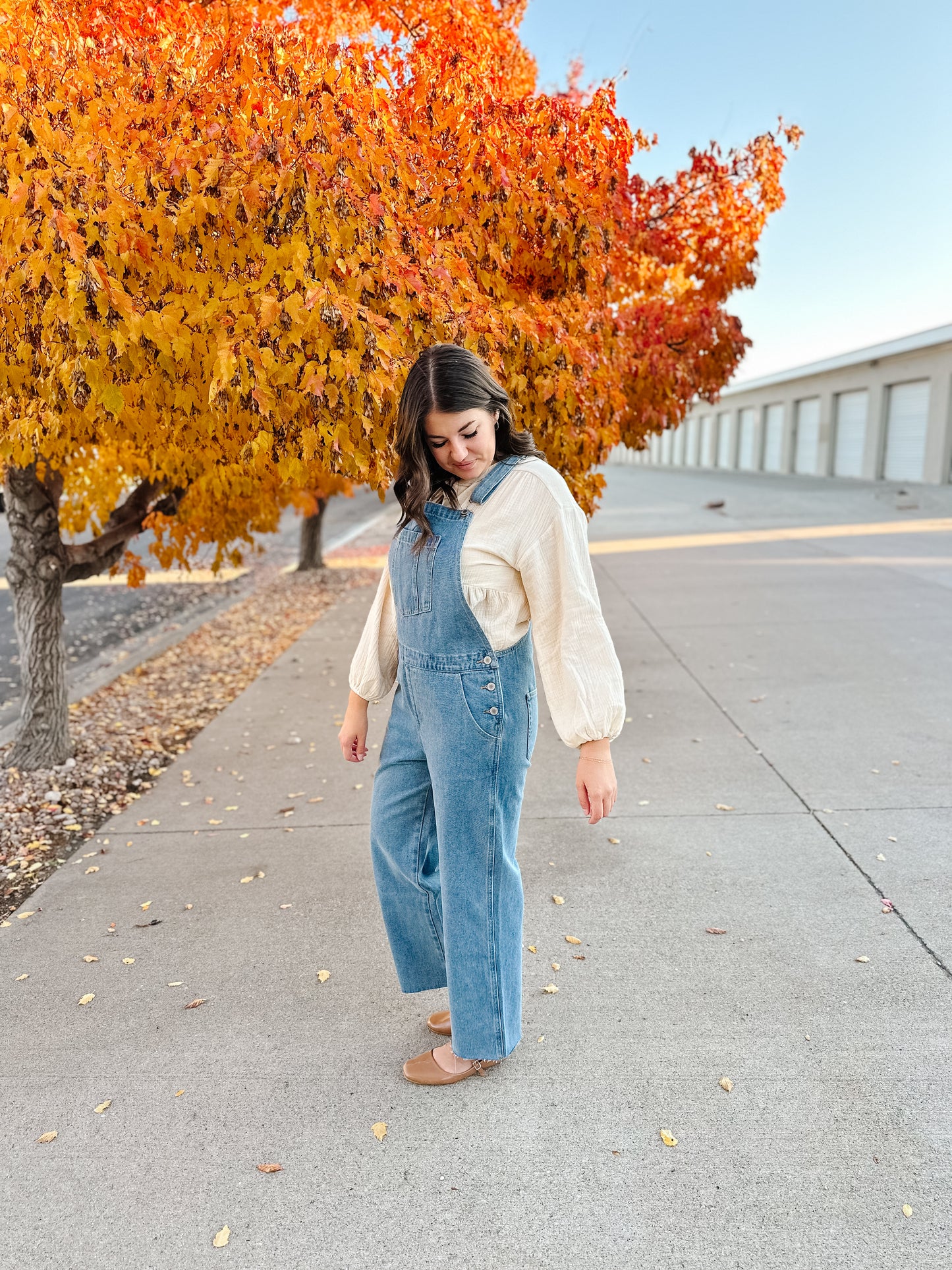 Abigail Denim Overalls