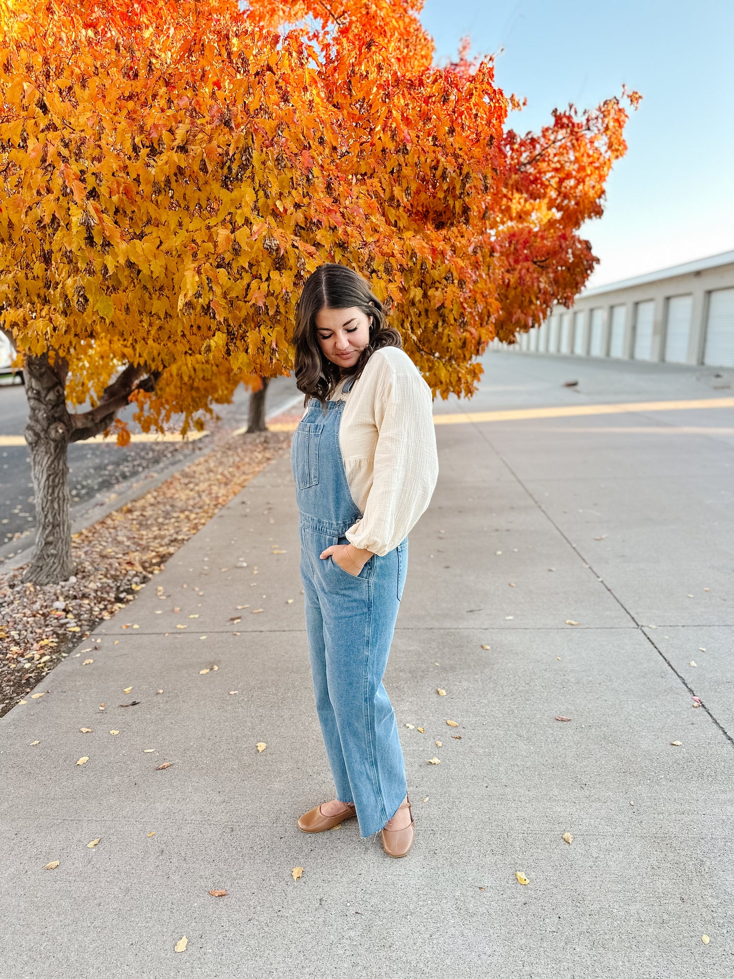 Abigail Denim Overalls