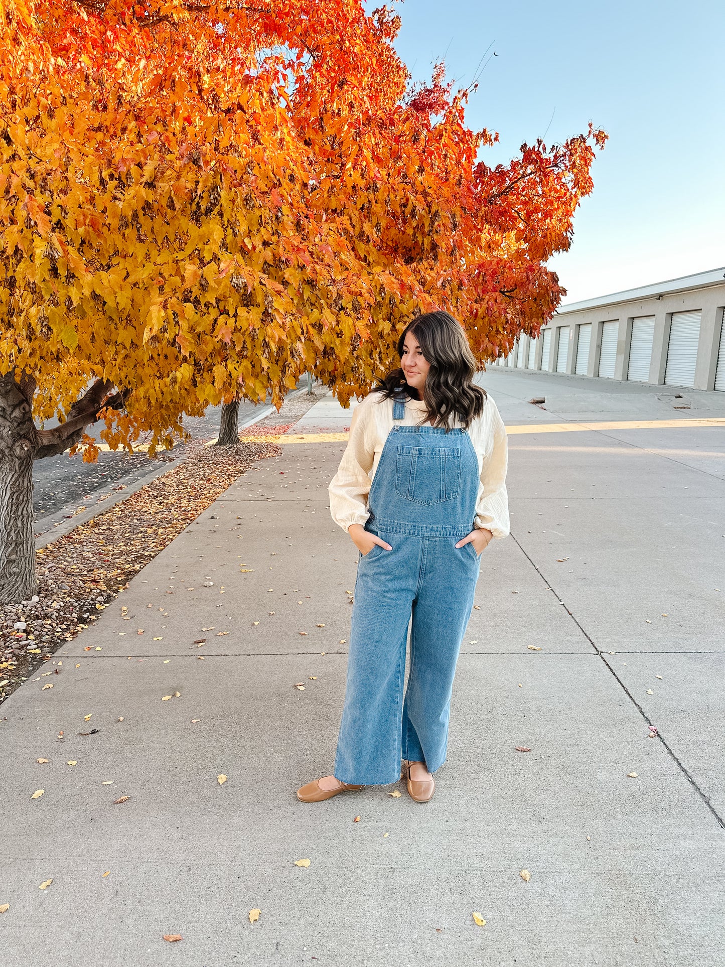 Abigail Denim Overalls