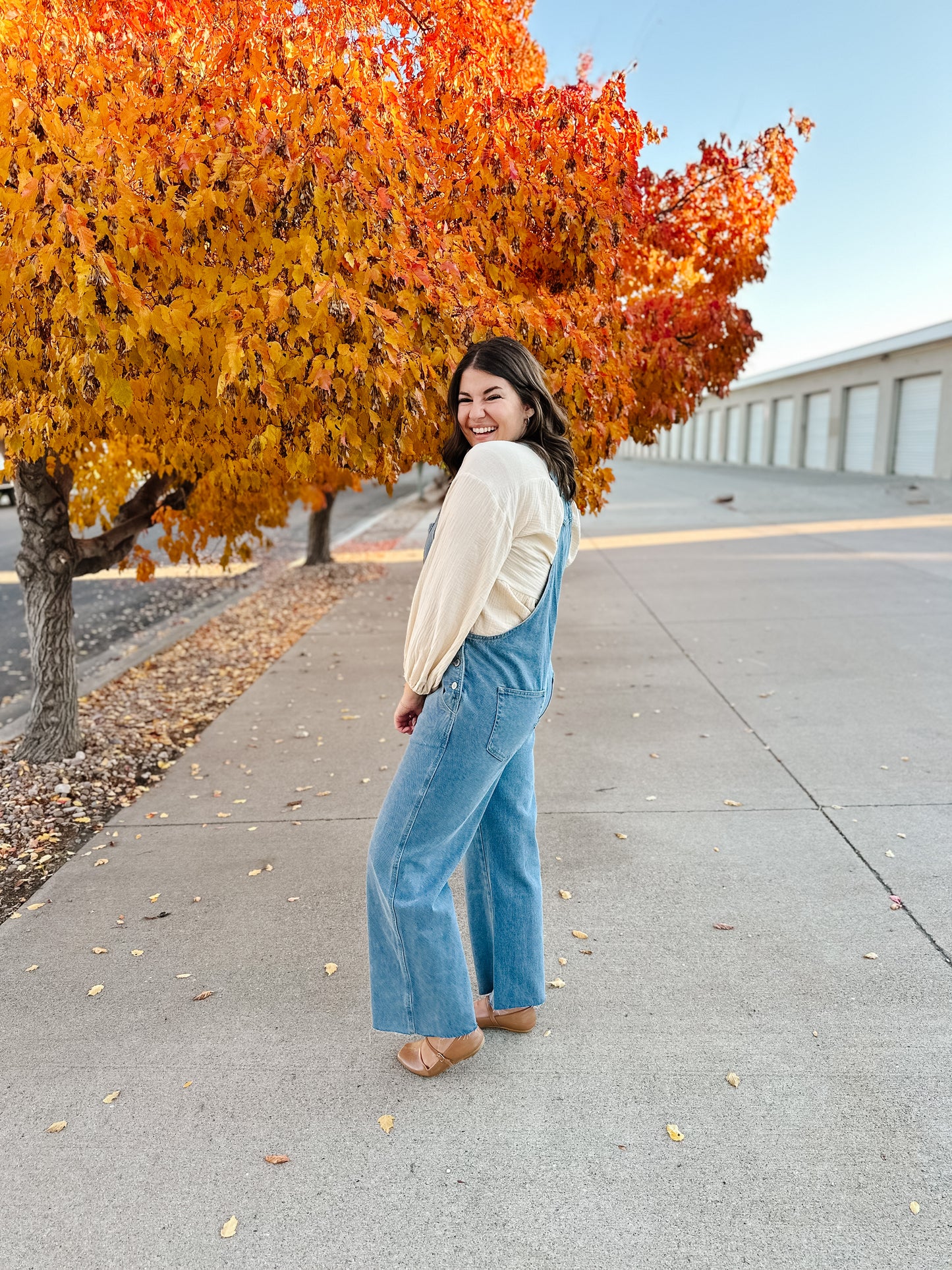 Abigail Denim Overalls