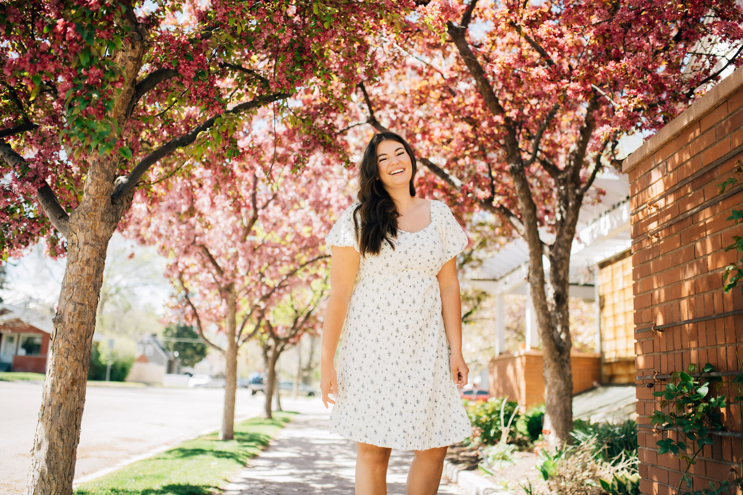 Anthology Floral Dress