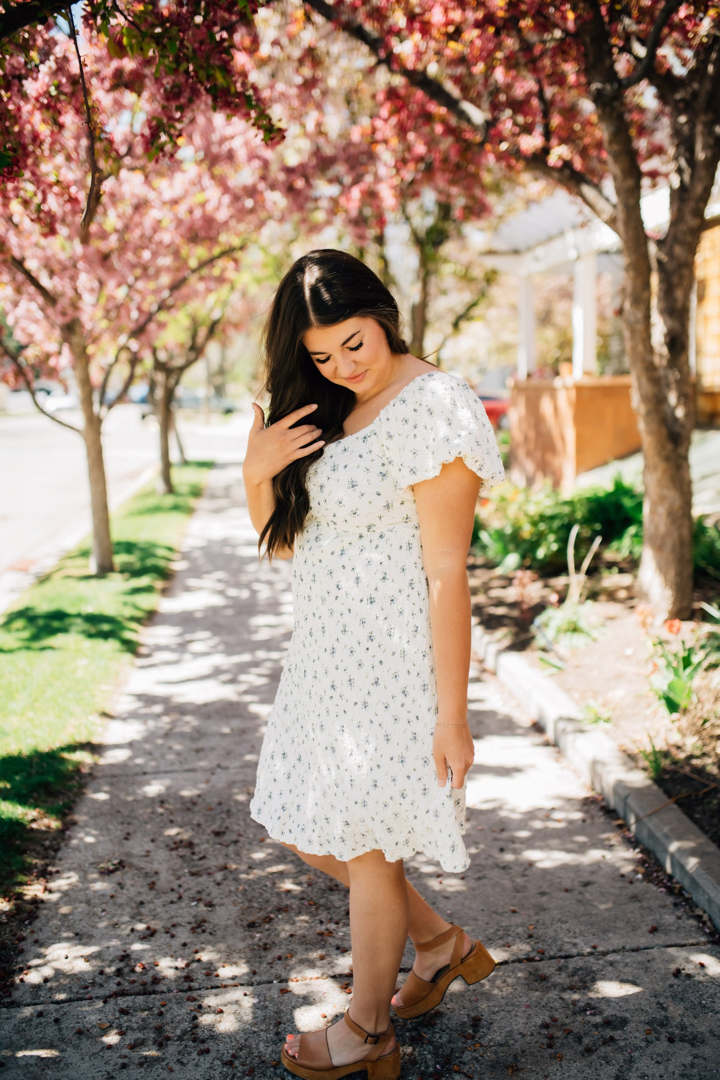 Anthology Floral Dress