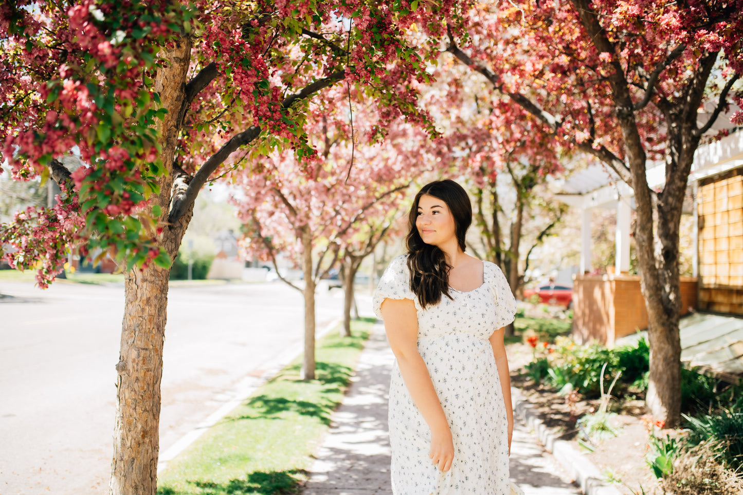 Anthology Floral Dress
