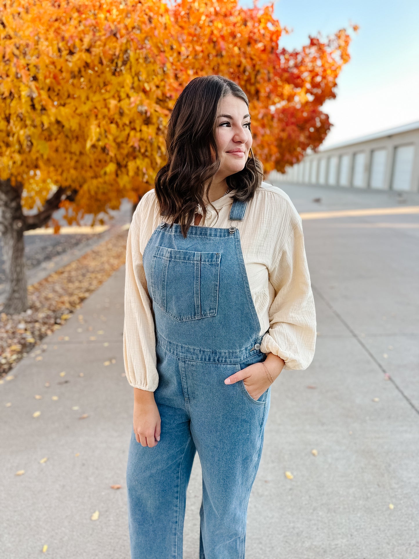Abigail Denim Overalls