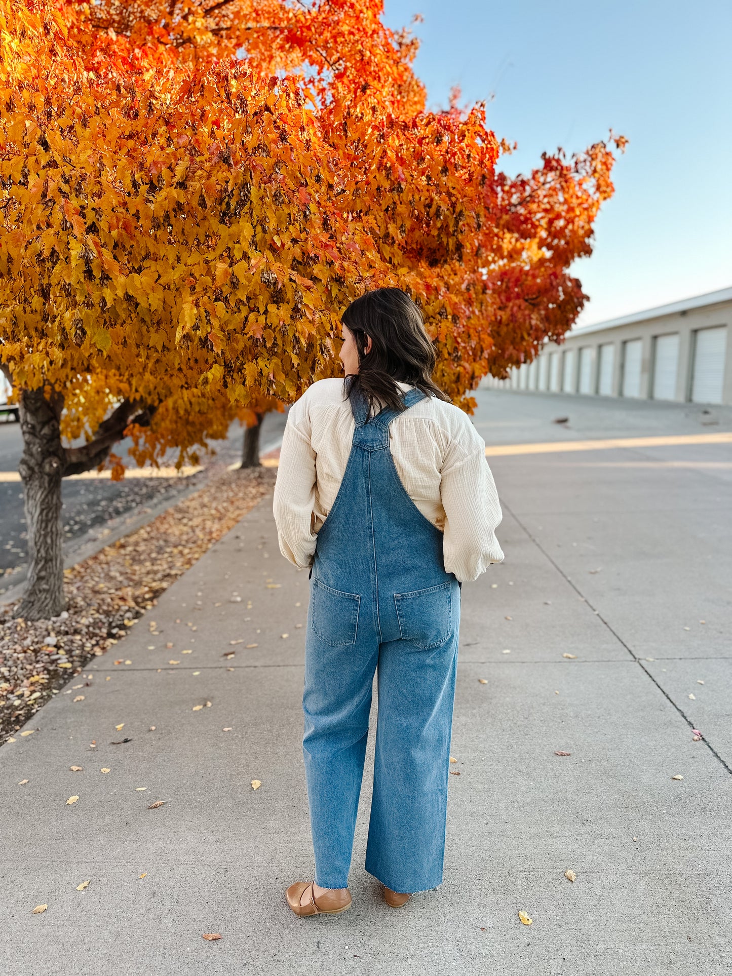 Abigail Denim Overalls
