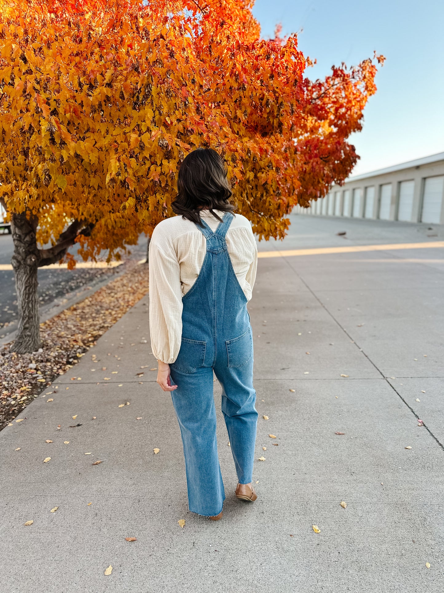 Abigail Denim Overalls
