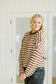 James Button Cardigan in Brown Stripe