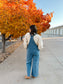 Abigail Denim Overalls