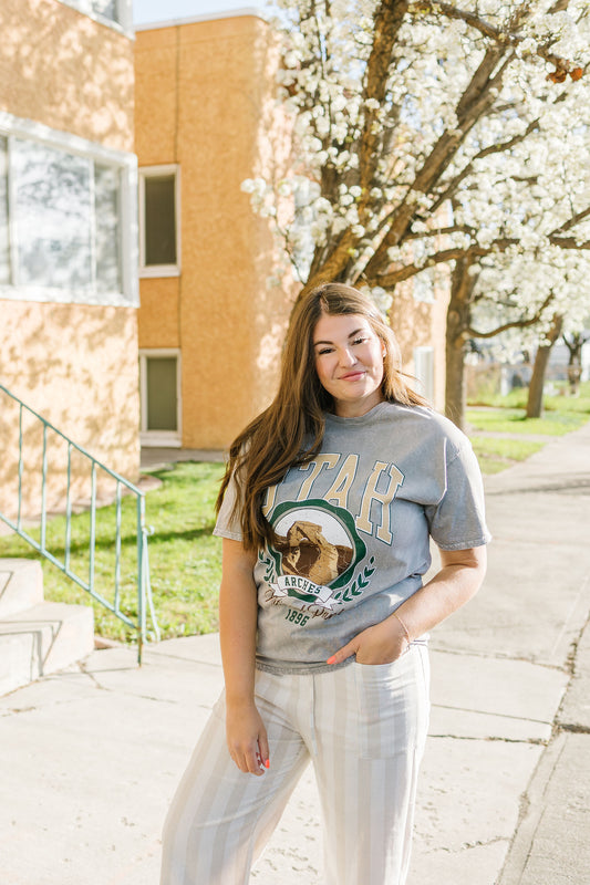 Utah Graphic Tee